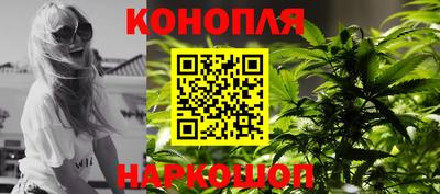 сатива Можга